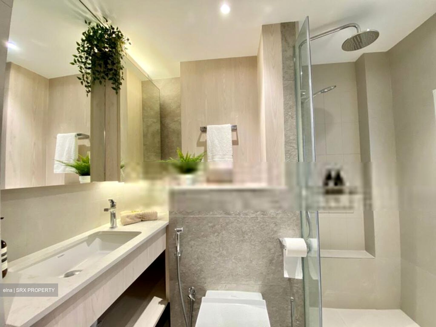 Cavenagh House (D9), Apartment #573373841